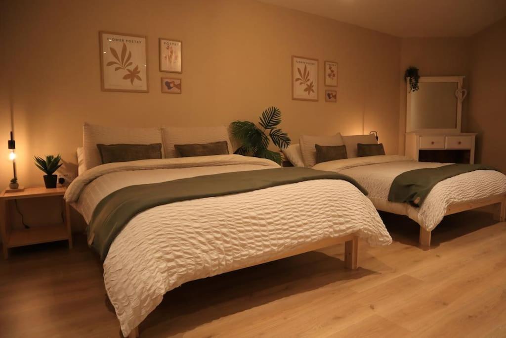 Modern Studio Apartment In Cashel Cashel  Eksteriør billede